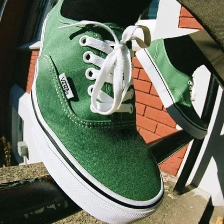 Image: vans vegan sneakers