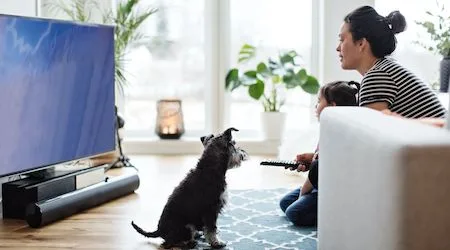 The best TVs in Australia for 2021