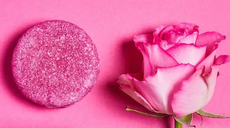 Finder Green Fave: Lush shampoo bars