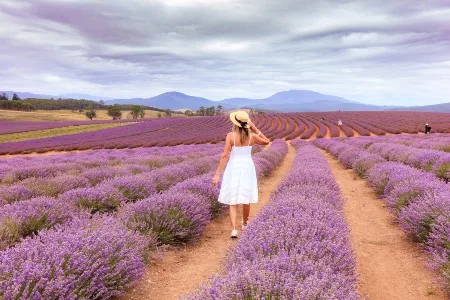 11 ideas for romantic getaways in Tasmania that will sweep you off your feet