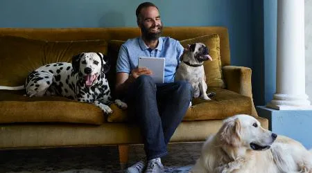 How to start a dog boarding business