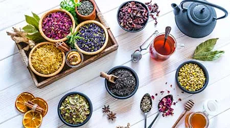 Naturopathy courses online