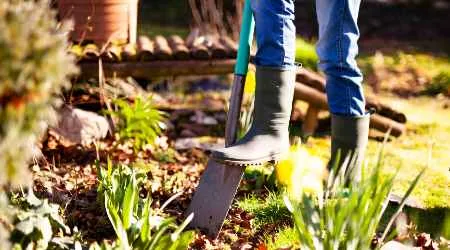 How to start a garden edging business