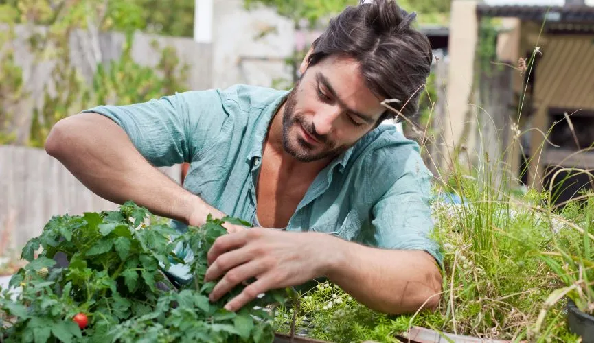 How to Start a Gardening Business in Australia | finder.com.au