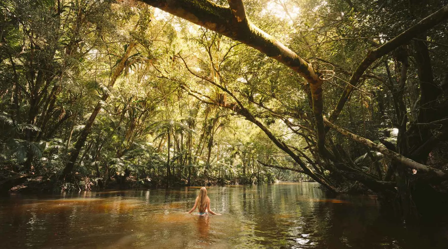 MossmancreeknearPortDouglas_Getty_1800x1000 MossmancreeknearPortDouglas_Getty_1800x1000