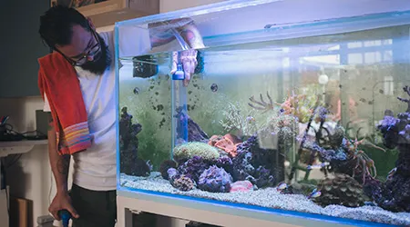 Renters insurance: Aquariums