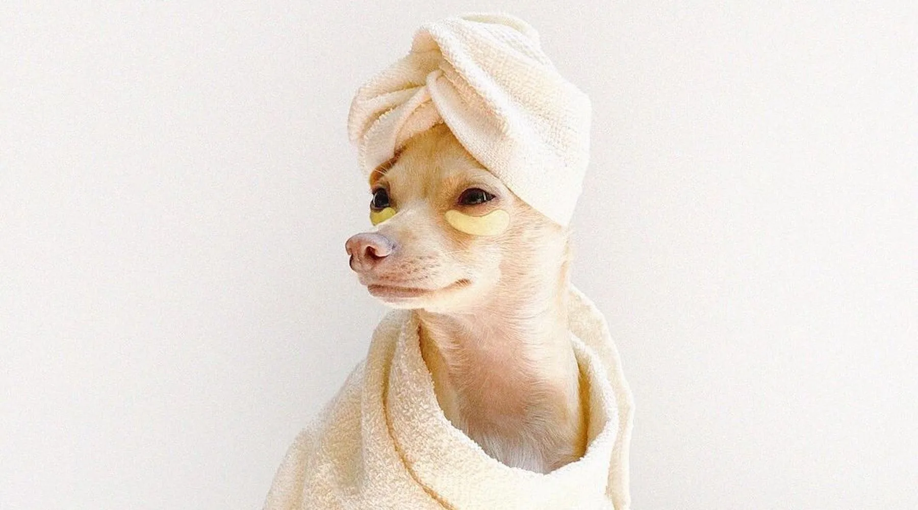 6 summer self-care items to buy this Black Friday