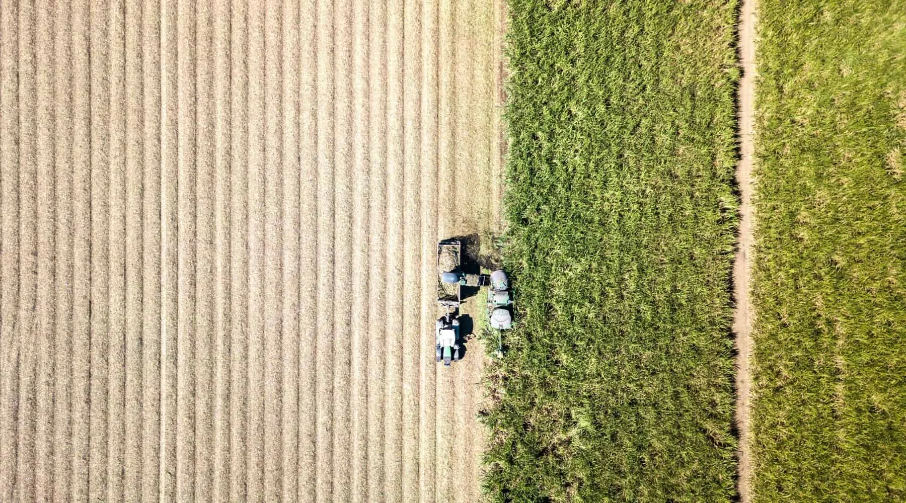 getty farm harvest 1800 x 1000-min getty farm harvest 1800 x 1000-min