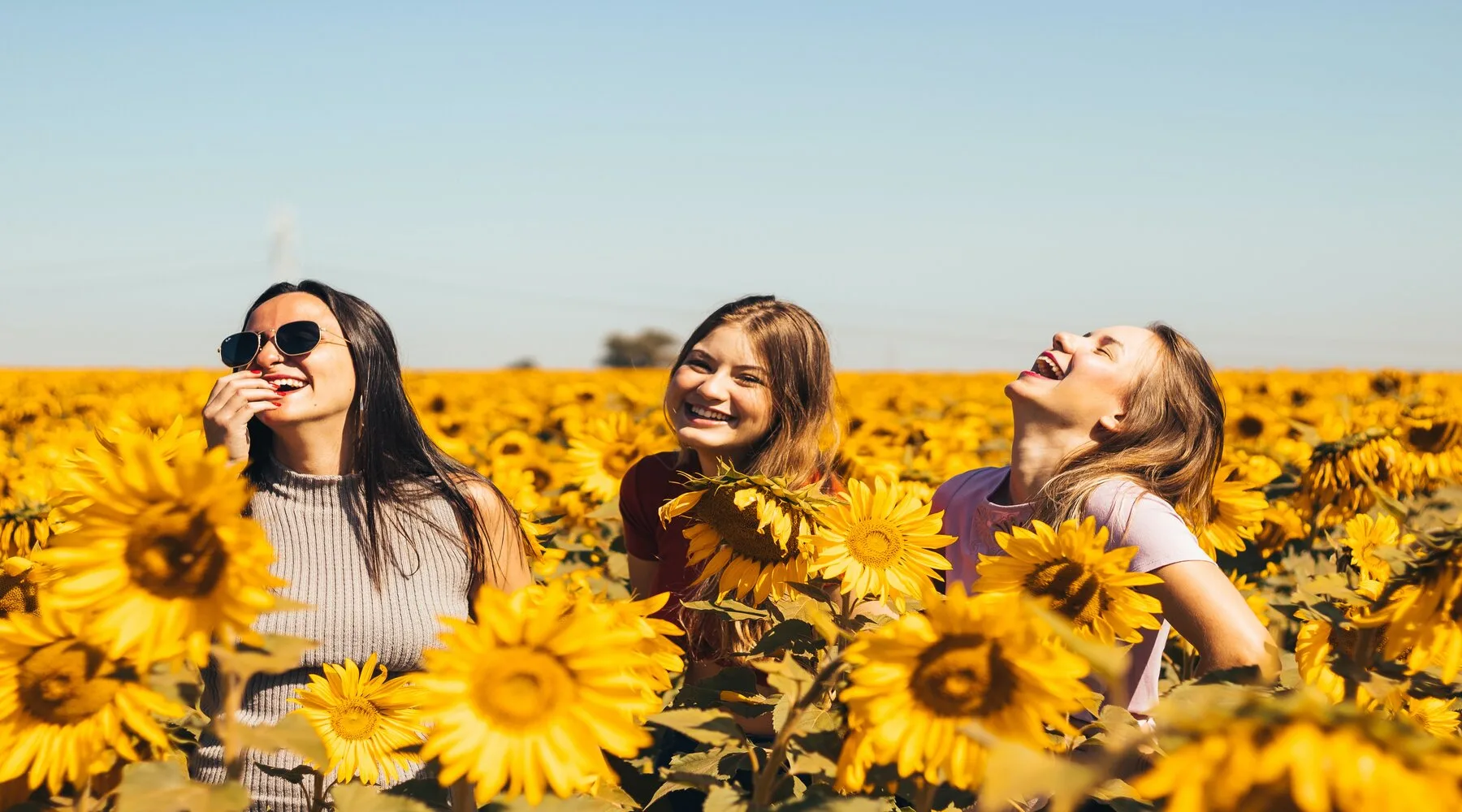 womeninfield_unsplash_1800x1000 womeninfield_unsplash_1800x1000