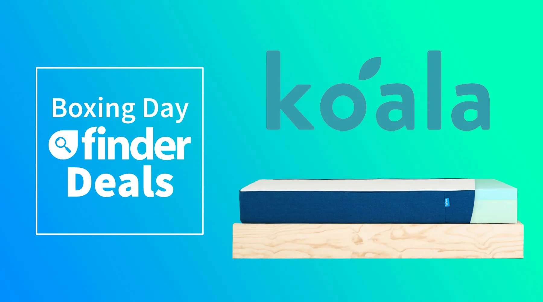 Boxing Day deals koala_finder_1800x1000 Boxing Day deals koala_finder_1800x1000