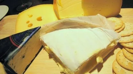 cheese finder brands
