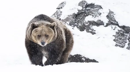 Is another crypto winter in store for 2021?