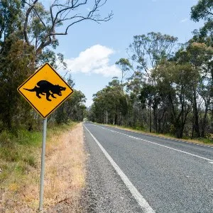 Campervan Hire In Hobart Best Companies And Top Deals Finder