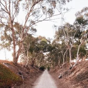 Image: Getty Images riesling trail