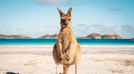 Jetstar sale launches flights from just $35 one way