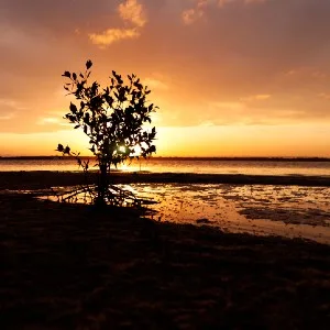 Image: Getty Images bribie island at sunset