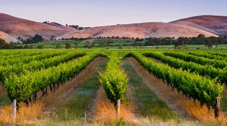 Virgin sale sets its sights on South Australia from $68