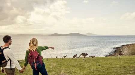 Click Frenzy™ travel: The 10 best deals