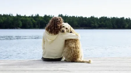 13 best pet-friendly accommodation options on the Gold Coast