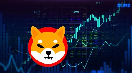 Shiba Inu price soars as interest in meme tokens surges