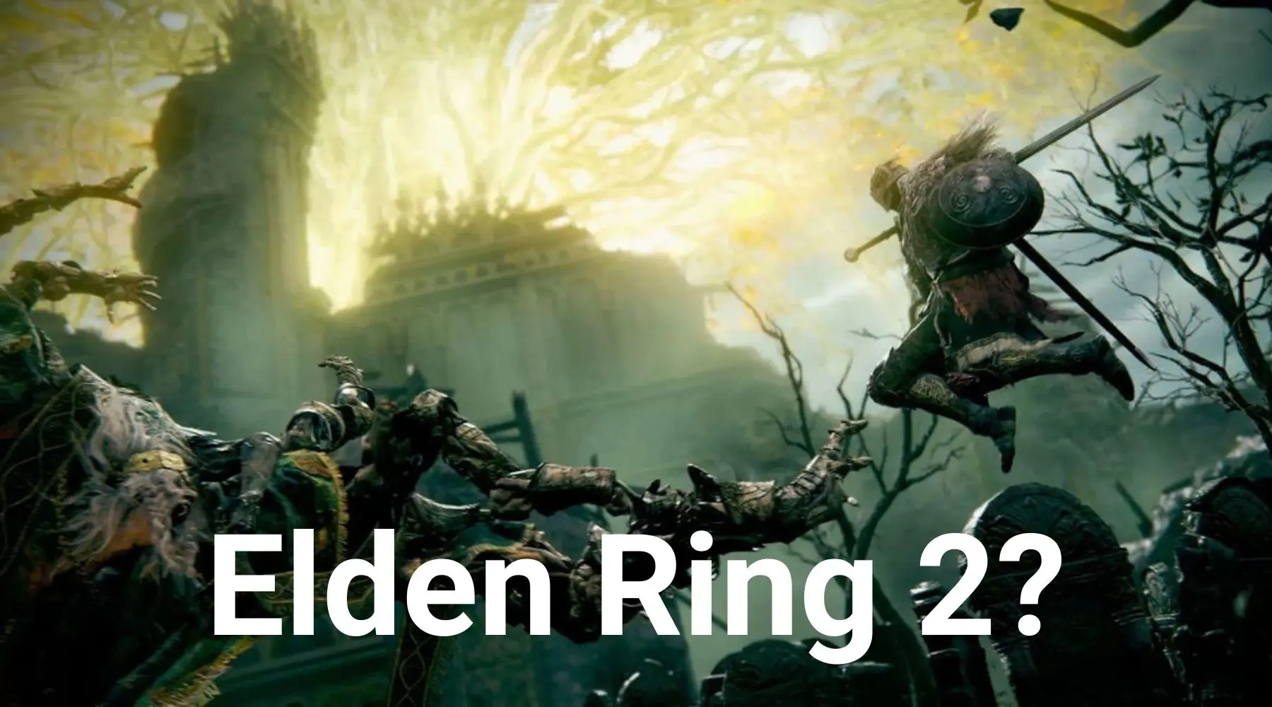 Elden ring dlc builds