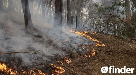 Bushfires: Do you have the right insurance and survival plan for summer?