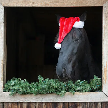 christmas ideas for horse lovers