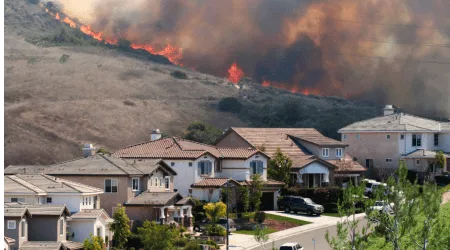 Best home insurance for wildfires