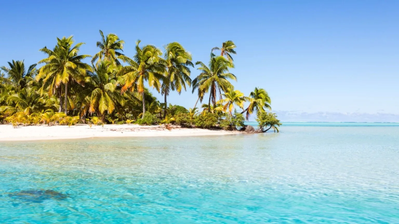 south pacific cruise