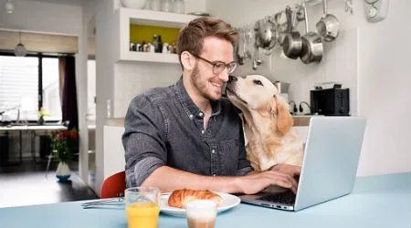 How to find pet-friendly rental properties