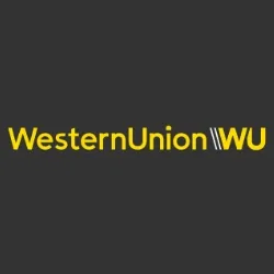 Western Union statistics and research