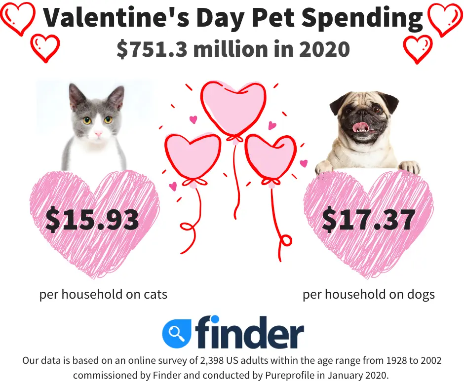 9 places to buy a Valentine's Day gift for your dog or cat - Los