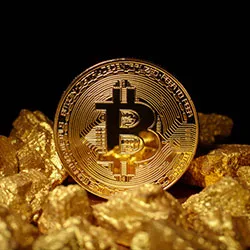 Bitcoin Gold For Beginners A Step By Step Guide To Btg Finder Com