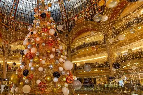 Rhine Christmas Market