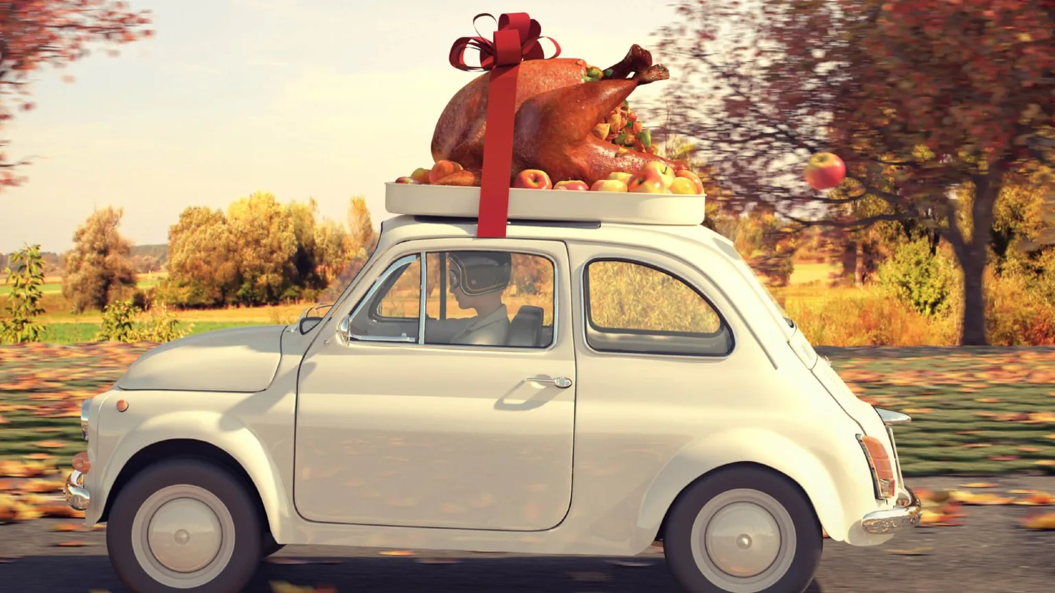Image: Shutterstock Driving around with a cooked turkey on top of the car