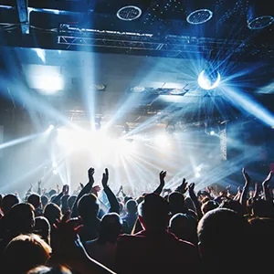 Crowd at a concert