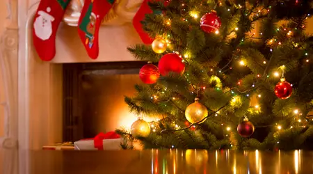 Americans will spend almost $6.1 billion on Christmas trees in 2021