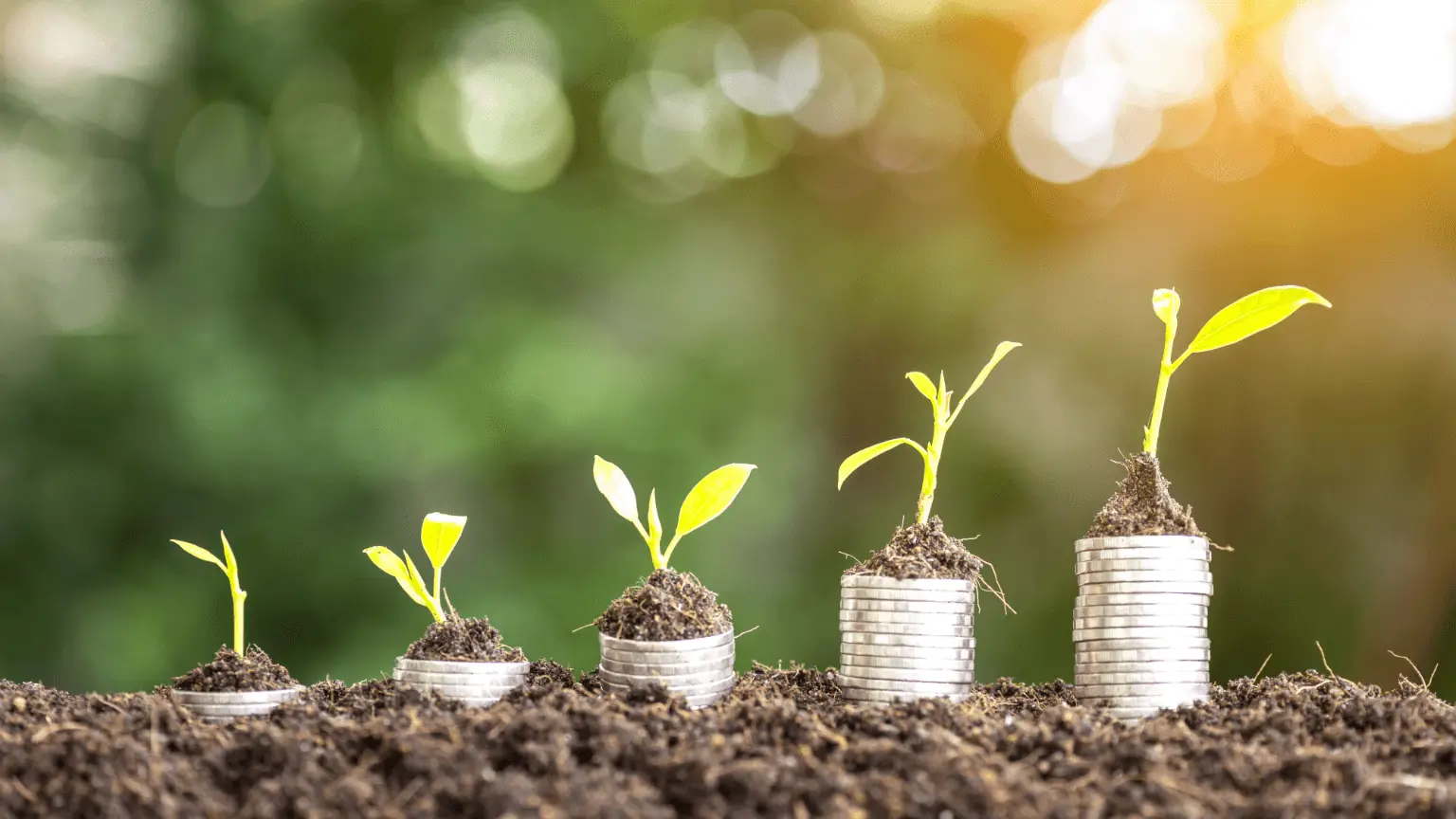 Image: Getty Images Money growth