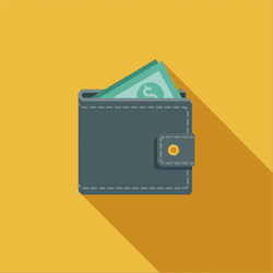 wallet with money icon