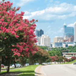 Car loans in North Carolina