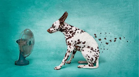 Tower fan buying guide