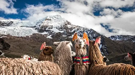 Envía dinero a Perú de manera segura