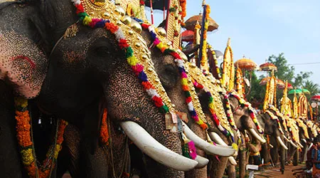 India travel guide