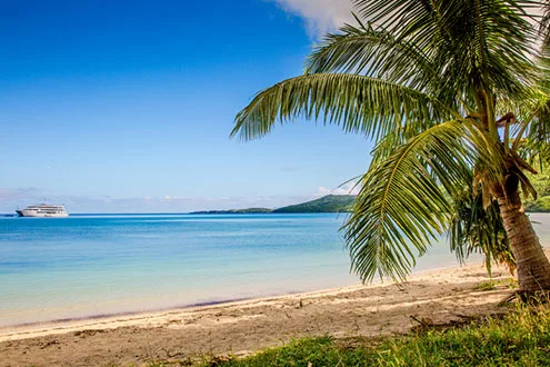 cruise ship caribbean palm tree