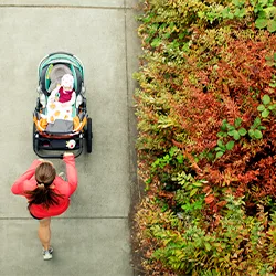 stroller buying guide 2019