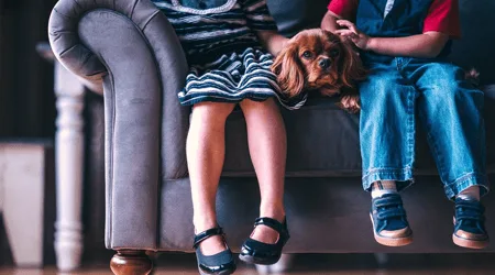 Is pet insurance worth it?