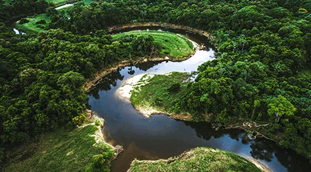 Best Amazon River cruise lines