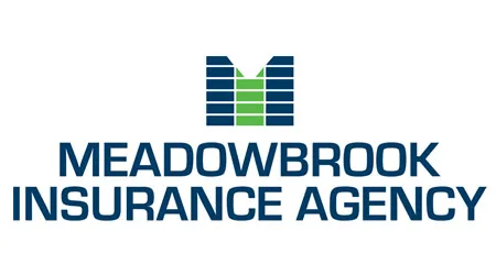 Meadowbrook car insurance Apr 2020