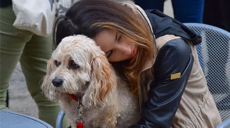 7 benefits of having a pet
