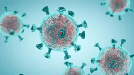 Coronavirus FAQs